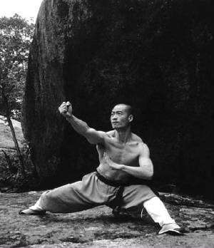 0001shiyanmingfist1.jpg