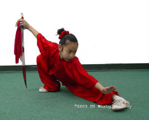joana_20023_wushu_broadsword.jpg