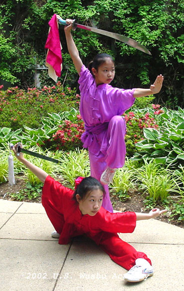 diana_joana_2002_wushu.jpg