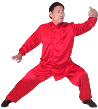 kungfu_silk.gif