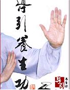 master_en_tai_chi_chuan_y_chi_kung.jpg