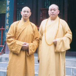 shifuabbot.jpg