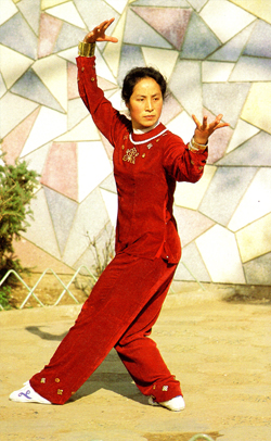 su20zifang20bagua20zhang.jpg