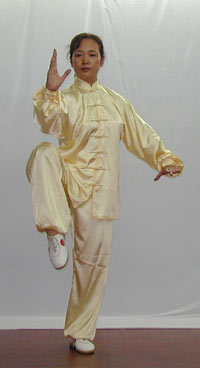 taichi.jpg
