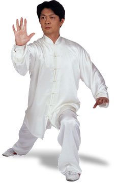 taichi_tangwhitesilks.jpg