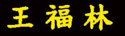 wang.jpg