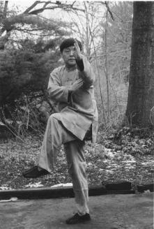 yinbagua1e-221x328.jpg